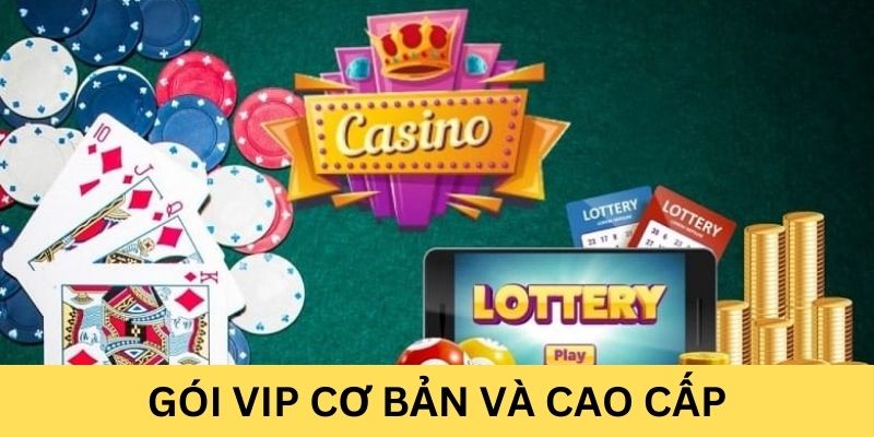 2 gói VIP hiện có là gói cơ bản và cao cấp